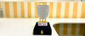 ICC T20 Cricket Tournament Recognition Products , Mumbai